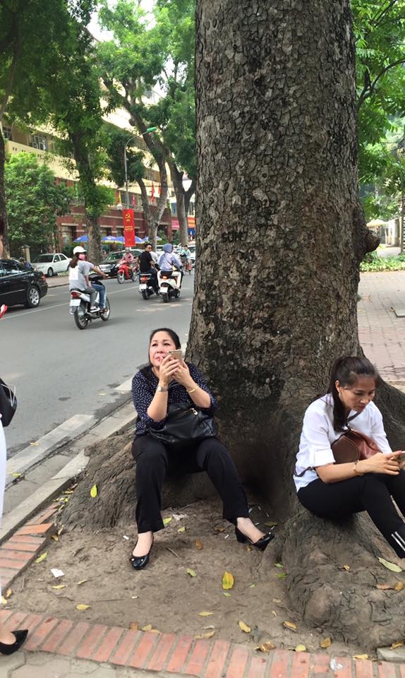 
NSND Hồng Vân chọn một gốc cây to để ngồi nghỉ ngơi. - Tin sao Viet - Tin tuc sao Viet - Scandal sao Viet - Tin tuc cua Sao - Tin cua Sao