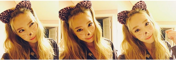 
Trong concert diễn ra ngay đêm Halloween, Taeyeon (SNSD) đầu tư hóa trang thành cô mèo tạo dáng cá tính. Sau đó, cô nàng còn tặng thêm cho fan loạt ảnh “tự sướng” đáng yêu.