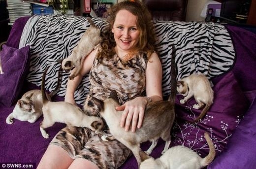 
Cô đã quyết định lựa chọn chó mèo thay vì chồng. (Ảnh: Internet)