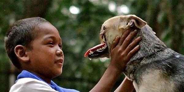 
Chú chó Kangbang bị mất gần nửa khuôn mặt vì cứu chủ nhân. Ảnh: Internet