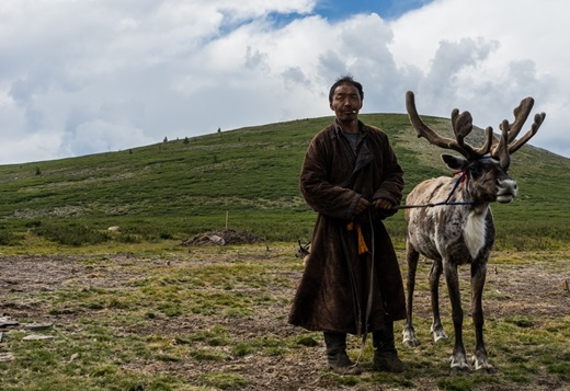 
Linh dương là một phương tiện đi lại phổ biến ở Mông Cổ. (Ảnh: Internet)