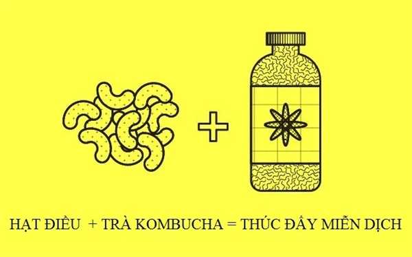 
Sự kết hợp giữa hạt điều và trà Kombucha kích thích tăng cường lượng protein và kẽm, hai thành phần quan trọng cho hệ miễn dịch khỏe mạnh. Ngoài ra, các sản phẩm lên men như trà Kombucha cải thiện sự hấp thụ kẽm trong hệ thống ruột.
