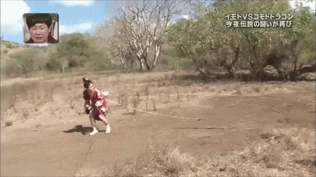 
Chọc cho rồng Komodo rượt chạy tóe khói cũng là một thú vui. (Ảnh: BuzzFeed)