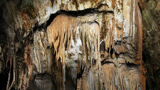 
Hang động Postojno, Slovenia, một trong những cụm hang động đá vôi dài nhất thế giới. (Ảnh: Internet)