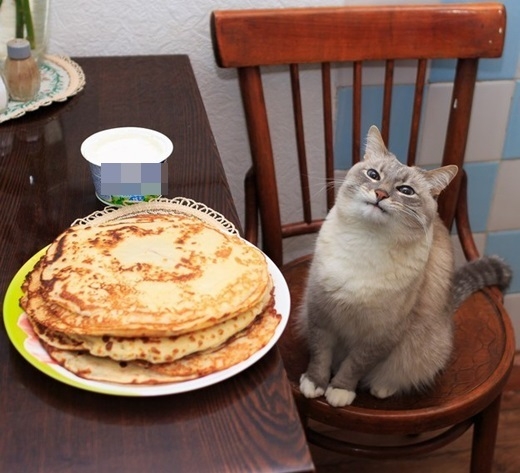 
"Chào bánh pancake! Rất không vui khi được gặp mi!". (Ảnh: BuzzFeed)