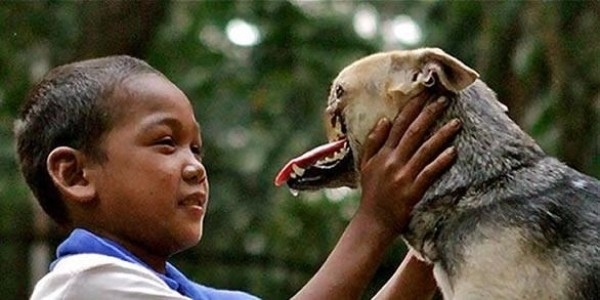 
Cũng không thể quên chú chó anh hùng Kabang, vì xả thân cứu chủ khỏi tai nạn xe hơi mà bị mất nửa khuôn mặt. (Ảnh: Internet)