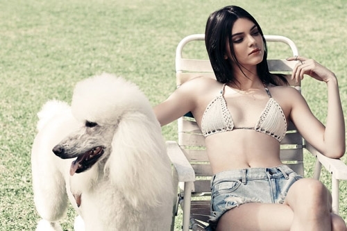 
Từ một hiện tượng online, Kendall Jenner đã trở thành người mẫu chuyên nghiệp