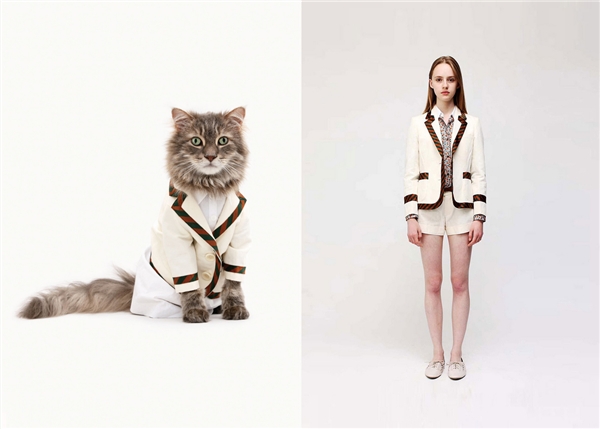 
United Bamboo là một studio thời trang ở thành phố New York, Mỹ. Những nhà thiết kế ở đây ngoài việc tạo ra các bộ sưu tập thời trang cho người đồng thời còn tạo ra các mẫu thiết kế tương tự cho mèo. Các thiết kế này được gọi chung là Catclub United Bamboo, tập hợp quần, áo, mũ, khăn choàng... dành cho mèo. 
