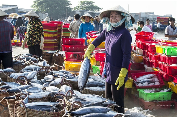 
Nghề đánh bắt và phân phối hải sản đã tạo công ăn việc làm cho đa số cư dân ở Long Hải. (Ảnh: Nguyễn Vũ Phước)
