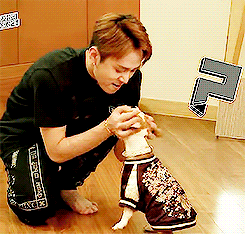 
Junhyung (Beast) đặt tên cho chú cún cưng của mình là Hyungnim (nghĩa là anh trong tiếng Hàn). Là giống chó mặt xệ, Hyungnim mang đậm vẻ "bad boy", thậm chí còn không ngần ngại cắn lại nam thần tượng mỗi khi quá khích.