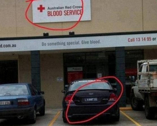 
Dịch vụ hiến máu và ma cà rồng. Đúng là trùng hợp khó tin. (Ảnh: Internet)