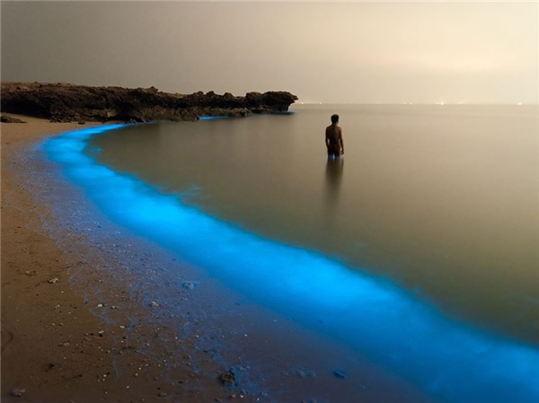 
Sóng biển phát sáng – thực chất sóng này tồn tại một loại sinh vật phù du lơ lửng trong nước biển gây ra. Khung cảnh được ghi lại ở Iran.