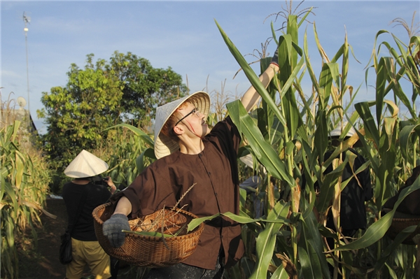 
Các thí sinh đã có cơ hội trải nghiệm với cuộc sống của một người nông dân thực thụ khi tiến hành thu hoạch những nông phẩm quen thuộc của làng quê Việt Nam.