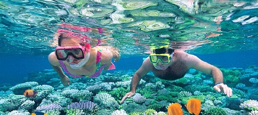 
Lặn ngắm san hô là một trong những thú vui không thể bỏ qua khi đến Bình Hưng, vì chỉ khi lặn xuống dưới nước, bạn mới tận mắt chứng kiến được vẻ đẹp rực rỡ của chúng. (Ảnh: Internet)