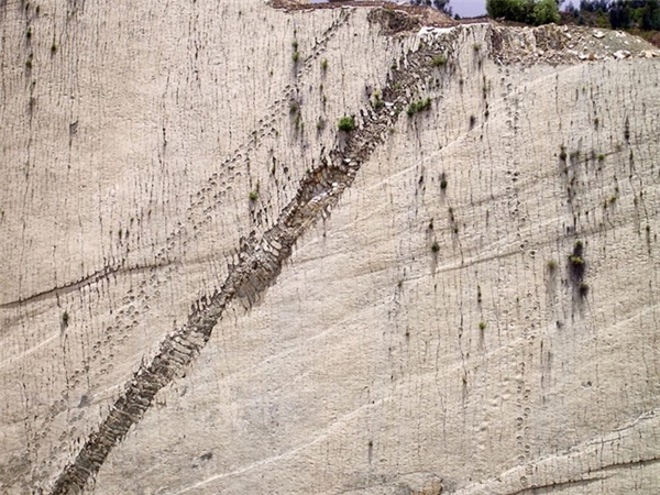 
Vạt đá vôi này có kích cỡ khổng lồ: dài 1,2km, cao 80m, với hơn 5.000 dấu chân hóa thạch, 462 đường tách biệt, hình thành vào nửa cuối kỷ Phấn Trắng. Nơi này từng nằm trên bờ một hồ nước, thu hút nhiều khủng long ăn cỏ và ăn thịt. Ảnh: Gerardo Diego Ontiveros/Flickr.