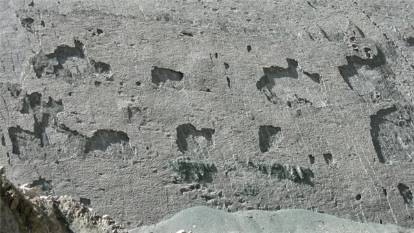 
Các hóa thạch này được các thợ mỏ phát hiện ở Cal Orcko vào năm 1985. Tuy nhiên, đến khoảng 1994-1998, tầm quan trọng của khu vực này mới được khẳng định, khi một đội nghiên cứu do nhà cổ sinh vật học Christian Meyer tiến hành khảo sát vách đá và xác định nền đất. Ảnh: Bencito the Traveller/Flickr.