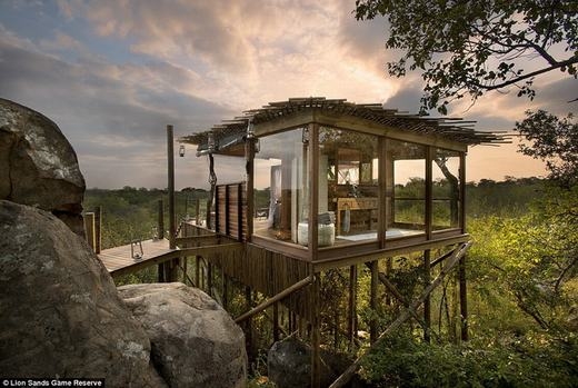 
The Kingston Tree là tên bồn tắm ở khách sạn Lion Sands Game Reserve, Nam Phi. Nếu muốn tắm tại đây, bạn phải bỏ ra 608 bảng Anh/đêm (khoảng 20 triệu đồng). Điểm độc đáo của The Kingston Tree là lối kiến trúc mới lạ, cho phép khách có thể hòa mình vào thiên nhiên trong giờ phút "tẩy trần". (Ảnh: Internet)