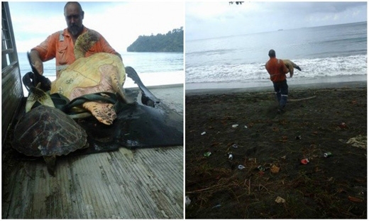 
Người đàn ông này mua lại chú rùa từ những ngư dân rồi thả chú về biển khơi. (Ảnh: Internet)