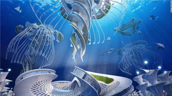 
Cấu trúc lạ, giống một con sứa sẽ giúp Aequorea trụ vững trước tác động ngoại cảnh. (Ảnh: CNN)
