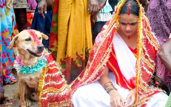 
Cô gái Ấn đang làm lễ kêt hôn với một chú chó. (Ảnh: Internet)