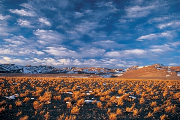 
Vùng San Pedro de Atacama có thể chinh phục du khách ngay những phút ban đầu bởi khung cảnh hoang dã và quyến rũ mê hồn với bầu trời xanh mênh mông trên những ngọn núi hùng vĩ, mạch nước nóng bốc khói nghi ngút, cánh đồng muối trải dài, các bụi cỏ dại… Nhưng rồi họ cũng sẽ chẳng chịu đựng được lâu bởi khí hậu khắc nghiệt, khô hạn và nắng nóng quanh năm của nơi này. (Ảnh: Internet)