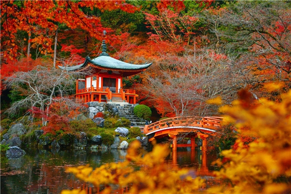 
Vùng Kansai cổ của Nhật Bản nằm ở vị trí 38. Trong ảnh là cảnh sắc mùa thu tuyệt đẹp tại Nhật. Ảnh: New York Times