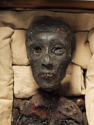 
Ông Carnarvon được phát hiện chết do một vết muỗi cắn lây bệnh truyền nhiễm. Theo thống kê, chỉ 2 năm sau khi khai quật lăng mộ của pharaoh Tutankhamun, 22 người chết một cách đột ngột và bí ẩn.