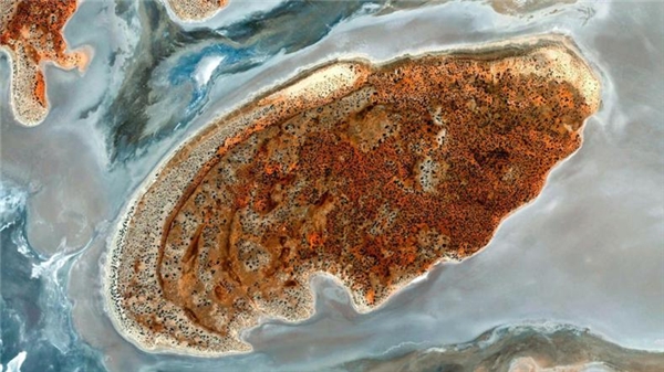 
Hồ Acraman thực chất là một miệng núi lửa sâu thuộc dãy Gawler ở Nam Úc. (Ảnh Google Earth)