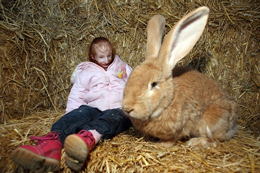Sửng sốt trước bé gái có vóc dáng nhỏ hơn cả con thỏ