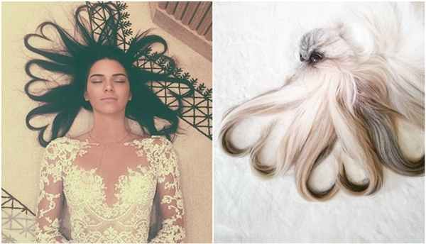 
Sao chép lại kiểu tóc trái tim trong bức ảnh "hot" nhất Instagram năm 2015 của siêu mẫu Kendall Jenner đã giúp lượt người theo dõi trang cá nhân của Kuma tăng đột biến. (Ảnh: Internet) 
