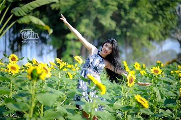 Vườn hướng dương Đồng Nai - điểm 'pose hình' mới siêu hot