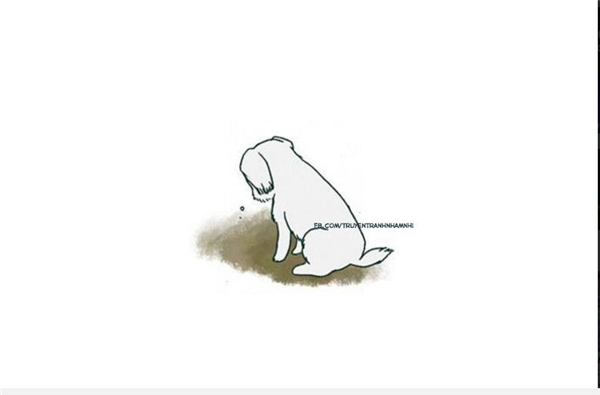Rơi nước mắt trước lời xin lỗi của chú chó vì “lỡ lớn”