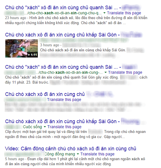 
Hàng loạt trang đưa tin về chú chó xách xô đi ăn xin cùng chủ. (Ảnh: Internet)