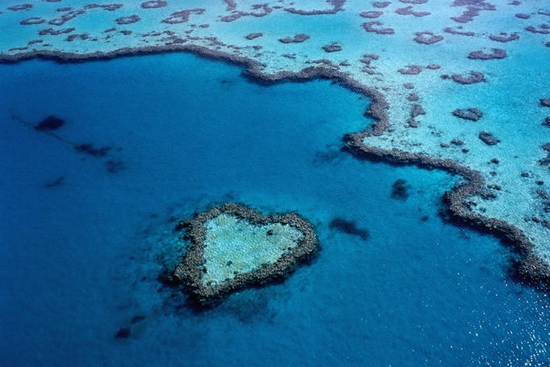 
Trái tim xanh Tim Reef này vô tình được một phi công phát hiện vào năm 1975. (Ảnh: Internet)