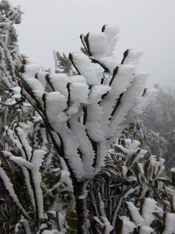 Hot: 17 giờ chiều nay tuyết có thể rơi trắng xóa tại Sa Pa