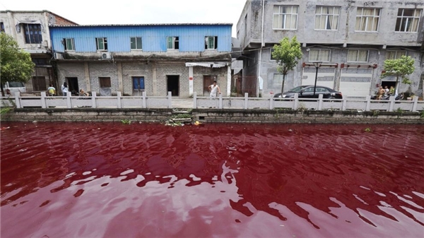 
Tương tự vào tháng 7/2014, nước tại một con sông chạy qua thành phố Ôn Châu, tỉnh Chiết Giang, Trung Quốc cũng bất ngờ đổi màu. Theo đó, chỉ sau 1 giờ đồng hồ, cả con sông đã chuyển thành màu đỏ như máu, gây hoang mang cho người dân sinh sống tại đây. Ảnh: Internet