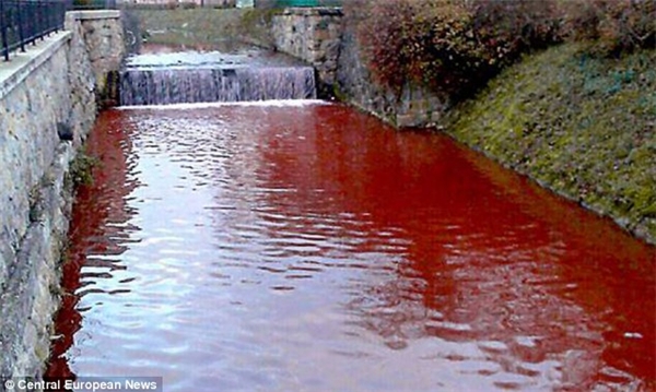 
Tháng 12/2014, người dân thị trấn Myjava ở Slovakia phải kinh hãi khi nước con sông chảy qua địa phương bất ngờ chuyển sang màu đỏ như máu chỉ sau một đêm. Khi nước chuyển sang màu đỏ, nhiều người nghĩ ngay tới thủy triều đỏ. Tuy nhiên, loại tảo gây nên thủy triều đỏ lại chỉ tồn tại trong nước biển, chứ không phải nước ngọt. Ảnh: Internet