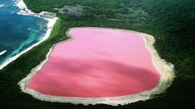 
Đến nay, các nhà khoa học vẫn chưa tìm ra nguyên nhân khiến nước hồ có màu hồng độc đáo như vậy. Ảnh: Internet