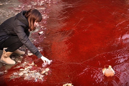 
Cuối năm 2011, con sông Jianhe chảy qua thành phố Lạc Dương , tỉnh Hà Nam , Trung Quốc đã chuyển màu nước đỏ như máu. Ảnh: Internet