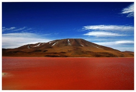 
Hồ muối đỏ Laguna Colorada tại miền Tây Nam Potosi, Bolivia có chiều dài 10,7km, rộng 9,6km, độ sâu trung bình là 35cm, độ sâu nhất là 1,5m, là hồ nước muối nhỏ hẹp và khá cạn. Sở dĩ Laguna Colorada được gọi là hồ muối đỏ vì nhìn từ xa, mặt nước hồ có màu đỏ do lớp trầm tích lắng đọng tạo nên và xung quanh khu vực này lại có sự hiện diện của những đảo muối borac trắng xóa. Sự kết hợp giữa sắc đỏ và trắng nổi bật đã trở thành những yếu tố tạo nên vẻ đẹp kì lạ và thu hút đông đảo du khách quốc tế đến tham quan. Ảnh: Internet