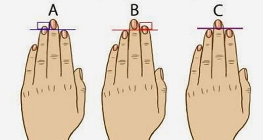 
Chiều dài các ngón tay của bạn giống với hình nào? (Ảnh: Internet)