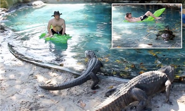 
Người đàn ông bơi trong hồ cá sấu khiến cho người xem "thót tim". (Ảnh: Whatsthefuzzabout Wordpress)