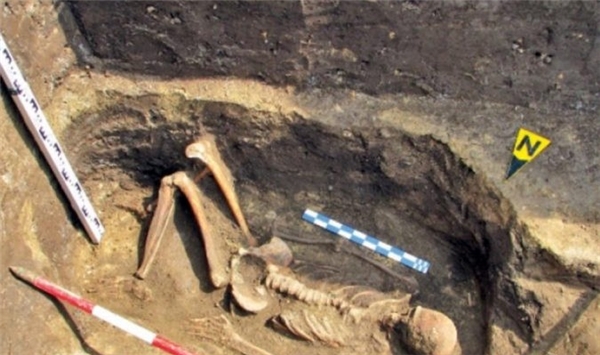 
Bộ xương của người khồng lồ được phát hiện tại Romania. Ảnh: Internet