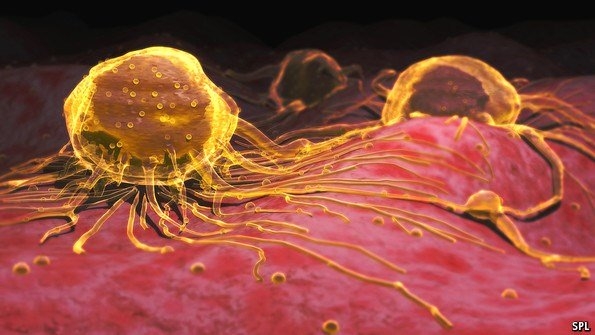 
Thông tin vàng có thể chữa ung thư được các nhà khoa học tại Đại học Rice Houston, Texas, Mỹ công bố. Đây chính là kết quả nghiên cứu mới về một dạng công nghệ nano trong quá trình chữa trị ung thư.