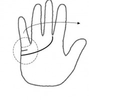 
Bàn tay có một đường hôn nhân dài và sâu (Ảnh: Internet)