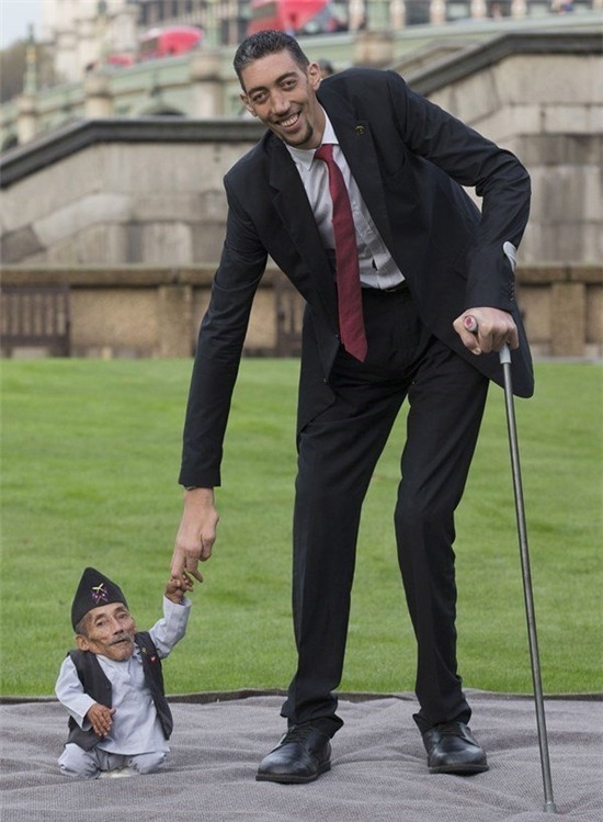 
Anh Sultan Kosen, người Thổ Nhĩ Kỳ được sách Kỷ lục Guiness Thế giới công nhận là người đàn ông cao nhất thế giới, với chiều cao khoảng 2,47m. Trong khi đó, ông Chandra Bahadur Dangi đến từ Nepal, cao khoảng 54,6 cm, xác lập kỷ lục người đàn ông lùn nhất thế giới.
