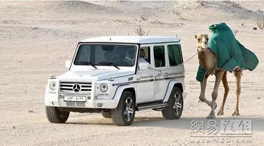 
Một vị đại gia khác thì vừa lái xế hộp vừa dắt lạc đà đi dạo trong sa mạc. (Ảnh: Internet)
