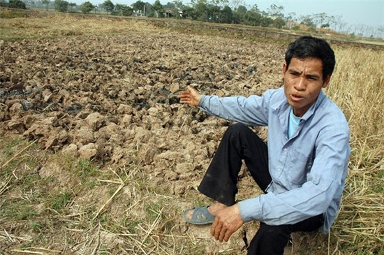 
Nông dân, nông nghiệp đang gánh chịu hậu quả từ thời tiết khí hậu bất thường. Ảnh: Đ.T