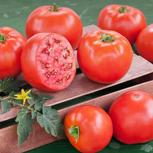 
Cà chua có chứa rất nhiều chất làm sáng da, nó hấp thu hết chất nhờn và làm sạch các lỗ chân lông trên da. (Ảnh: Internet)