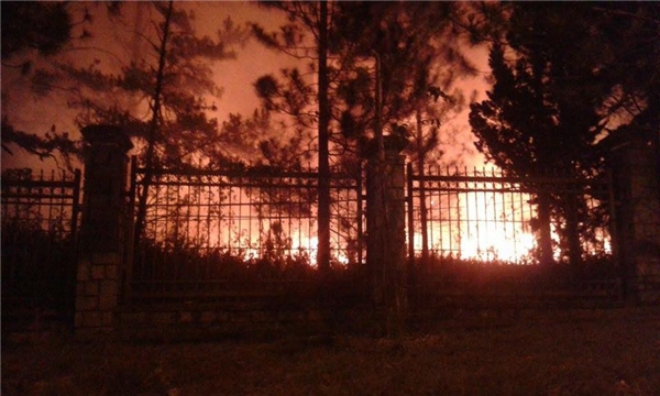 
Nguyên nhân vụ cháy do nhân viên nhà trường đốt thảm thực bì cho khu rừng thông phía sân C. Ảnh: Từ trang mạng xã hội